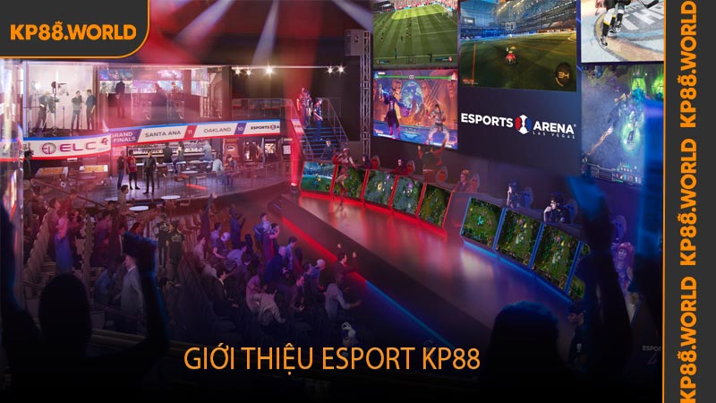 Giới thiệu Esport KP88